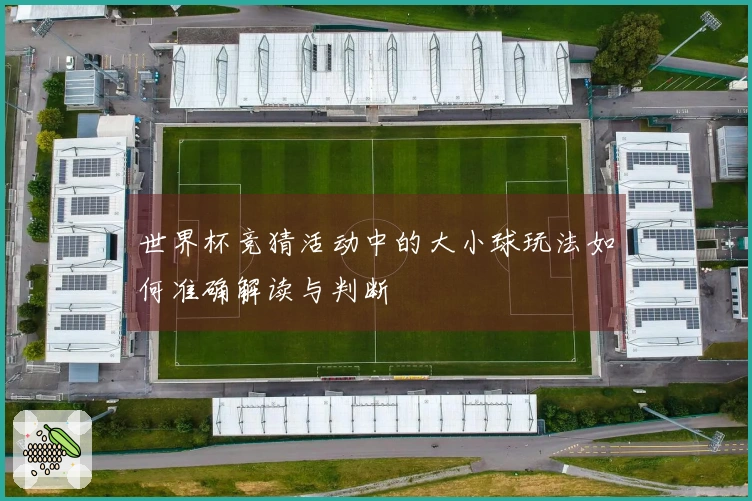 世界杯竞猜活动中的大小球玩法如何准确解读与判断