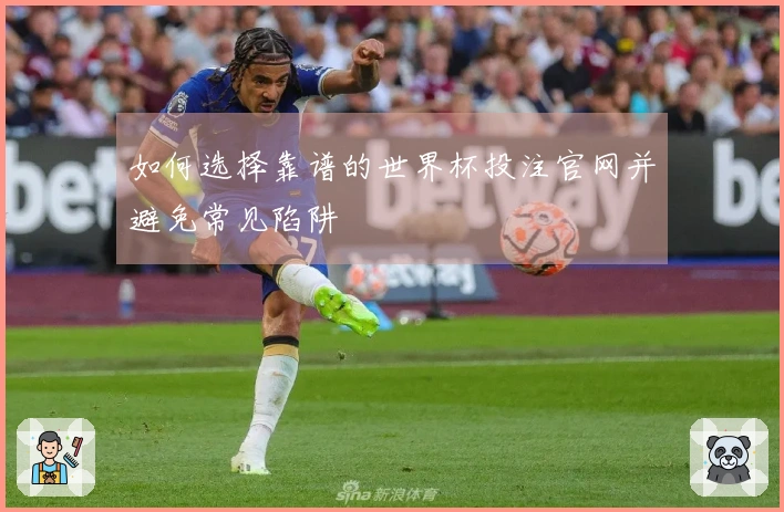 如何选择靠谱的世界杯投注官网并避免常见陷阱