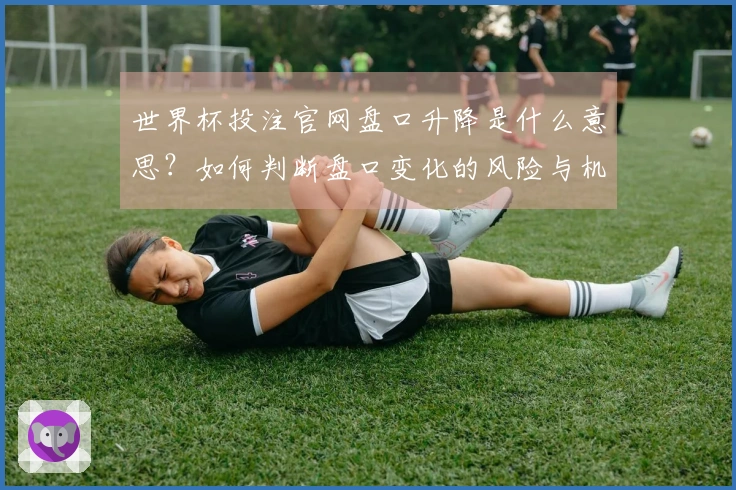 世界杯投注官网盘口升降是什么意思？如何判断盘口变化的风险与机会